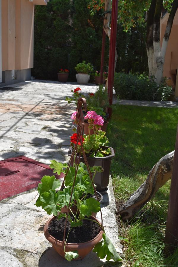 Villa Amani *